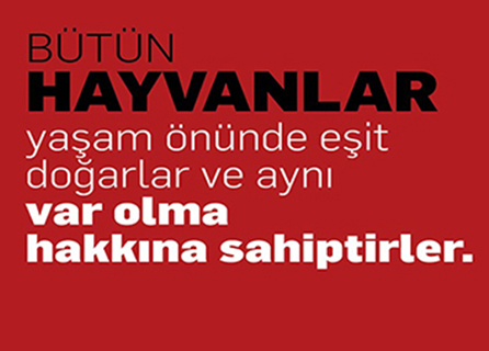 Kıyı Veteriner Kliniği